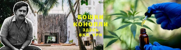 спиды Богородицк