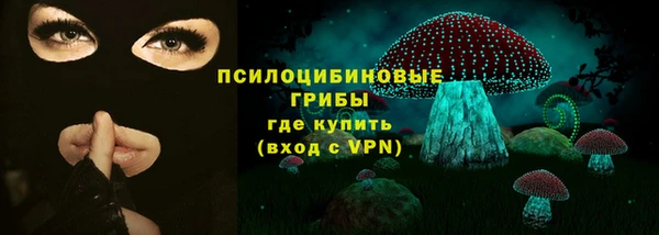 трава Бородино
