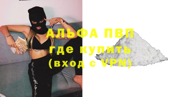 спиды Богородицк