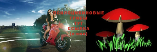 кокаин перу Богданович