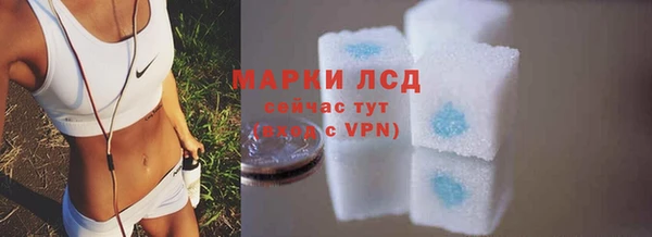 трава Бородино