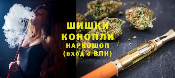 трава Бородино