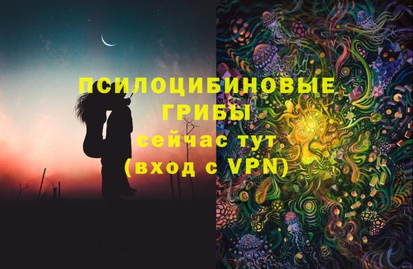 трава Бородино